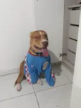 Bruce