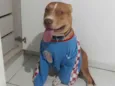 Bruce