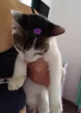 TIANA