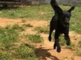 Loki