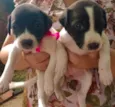 Duda e Maria 