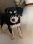 Ben