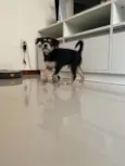 Ben