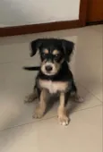 Ben