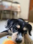 Ben
