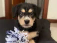 Ben