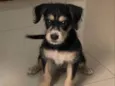 Ben