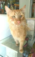 Ben