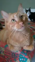 Ben