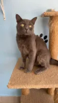 Tito