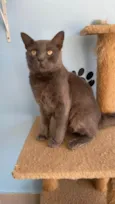 Tito
