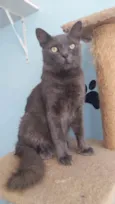 Tito