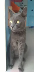 Tito