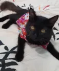 Bebezinho.