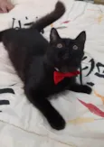 Bebezinho.