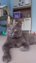 Tito