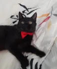Bebezinho.