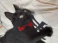 Bebezinho.