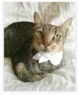 TONNY