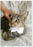 TONNY