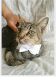 TONNY