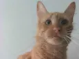 Ben
