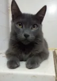 Gary