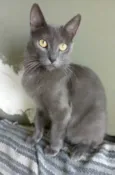 Gary