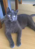 Gary