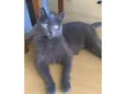 Gary