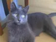 Gary