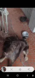 Léo