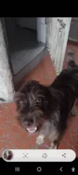 Léo