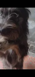 Léo