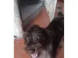 Léo