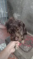 Léo