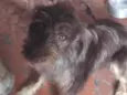 Léo