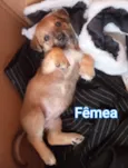 Sem nome
