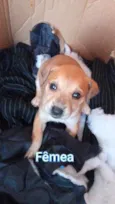 Sem nome