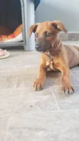 Kiara