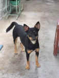 Frida 
