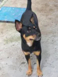 Frida 