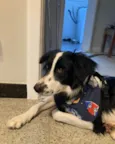 Oliver