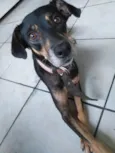 Nina