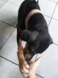 Nina