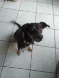 Nina
