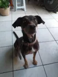 Nina