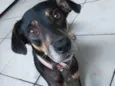 Nina