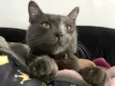 Theodor