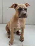 Luna e kalebe